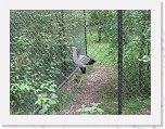 Dierentuin Burgers  Zoo 113 * 3648 x 2736 * (7.01MB)